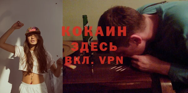 стаф Липки