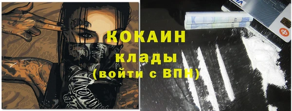 стаф Липки
