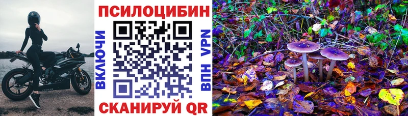 Псилоцибиновые грибы GOLDEN TEACHER  Николаевск-на-Амуре 