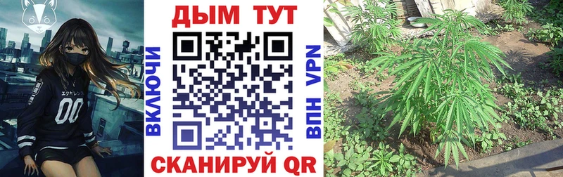 дарнет шоп  Николаевск-на-Амуре  Каннабис AK-47 